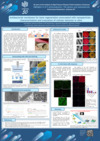 P15 Antibacterial membrane for bone regeneration sonocoated with nanoparticles - characterization and evaluation of cellular behavior in vitro